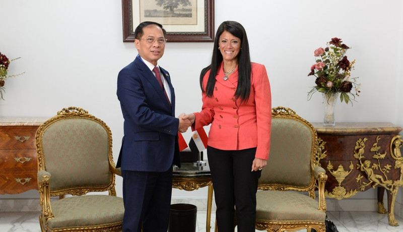 El viceprimer ministro y canciller de Vietnam, Bui Thanh Son, y la ministra de Planificación, Desarrollo Económico y Cooperación Internacional de Egipto, Rania A. Al-Mashat (Foto: VNA)