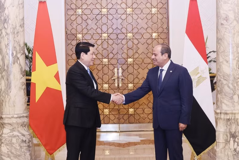 El presidente de Vietnam, Luong Cuong (izquierda), y su homólogo egipcio, Abdel Fattah El-Sisi (Foto: VNA)