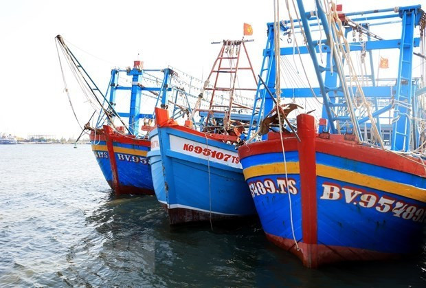 Barcos pesqueros en Dong Thap (Foto: VNA)