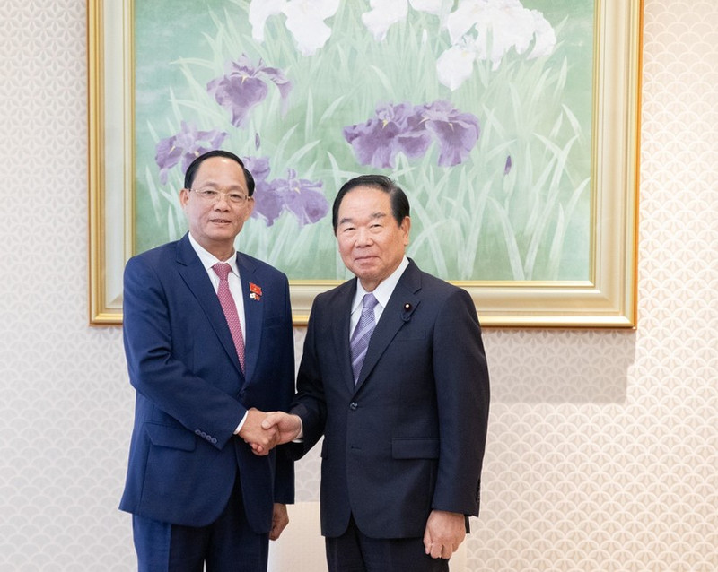 El vicepresidente de la Asamblea Nacional de Vietnam Tran Quang Phuong (izquierda) se reúne con el titular de la Cámara de Representantes de Japón, Nukaga Fukushiro. (Foto: VNA)