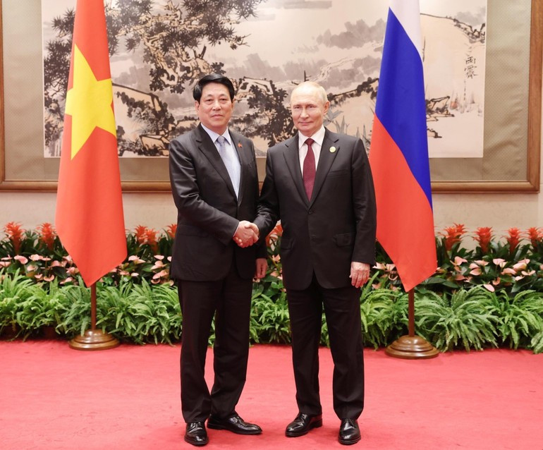 El presidente vietnamita, Luong Cuong, se reúne con su par ruso, Vladimir Putin. (Foto: Lam Khanh/VNA)