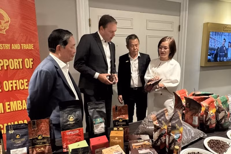 Tran Thu Quynh, consejera comercial de Vietnam en Canadá (derecha), presenta productos de café de alta calidad al presidente de la Asociación Canadiense del Café (segundo desde la izquierda). (Foto: VNA)