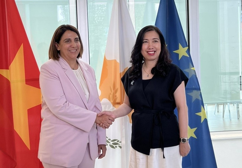 La viceministra de Relaciones Exteriores de Vietnam, Le Thi Thu Hang (derecha), se reúne con la viceministra permanente de la Presidencia de Chipre, Irene Piki (Foto: VNA)