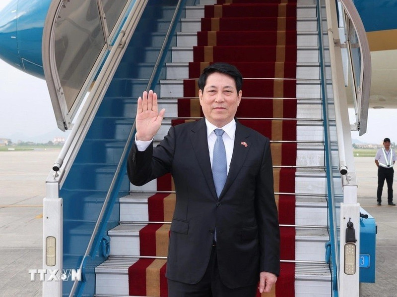 El presidente de Vietnam, Luong Cuong (Foto: VNA)