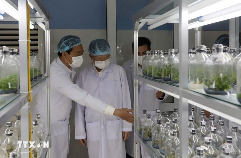 Un laboratorio en un centro de biotecnología en la ciudad de Da Nang (Foto: VNA)