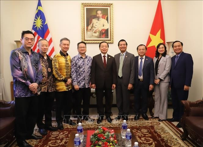El viceprimer ministro Tran Hong Ha (centro) junto con representantes de asociaciones y empresas malasias (Foto: VNA)