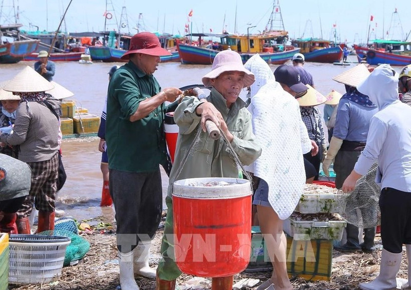 La norteña provincia vietnamita de Ninh Binh intensifica sus esfuerzos para implementar las directivas del Gobierno sobre la lucha contra la pesca ilegal (Foto: VNA)