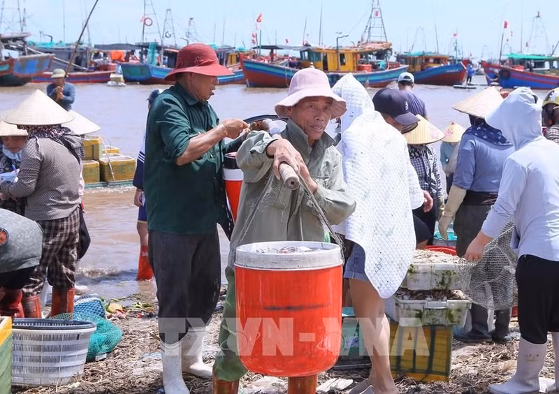 La norteña provincia vietnamita de Ninh Binh intensifica sus esfuerzos para implementar las directivas del Gobierno sobre la lucha contra la pesca ilegal (Foto: VNA)