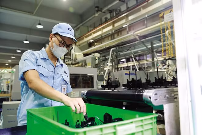 Foto de ilustración. (Foto: baodautu.vn)