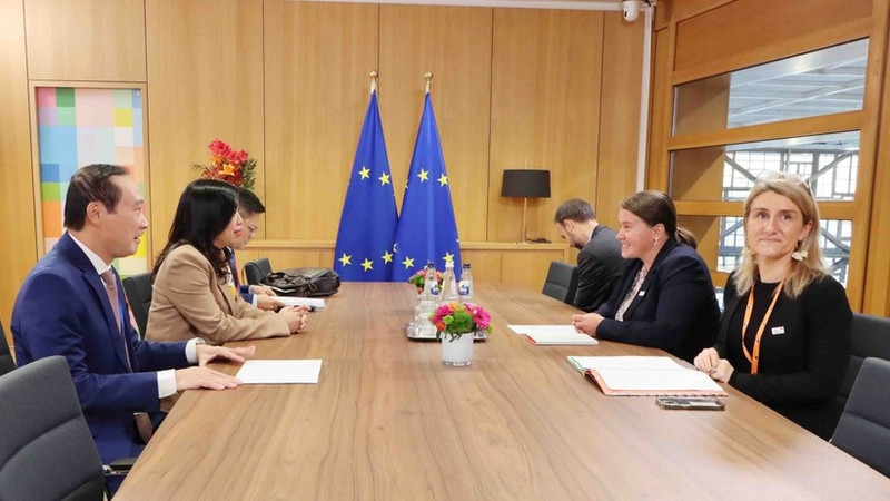 Le Thi Thu Hang, viceministra vietnamita de Relaciones Exteriores, se reúne con la asesora de políticas exteriores del presidente del Consejo Europeo, Veronika Musilova. (Foto: VNA)