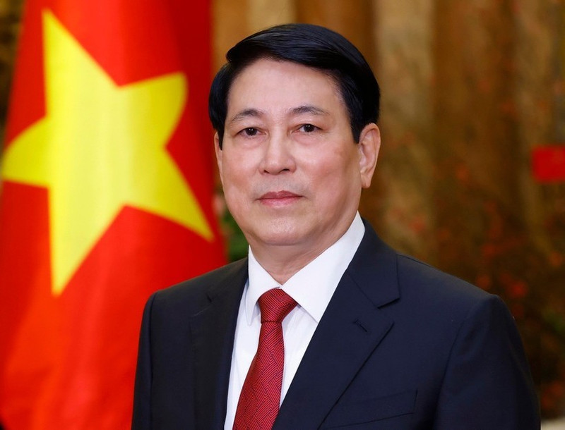 El presidente de Vietnam Luong Cuong (Foto: VNA)