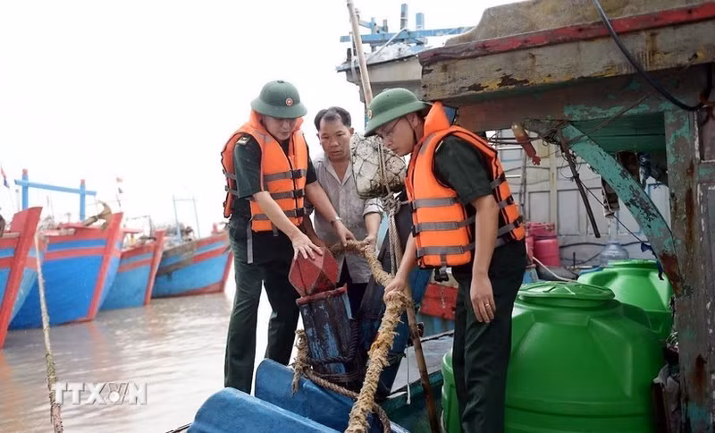 Las autoridades ayudan a los pescadores de la comuna de Hai Thinh (Ninh Binh) a prevenir la tormenta. (Foto: VNA)