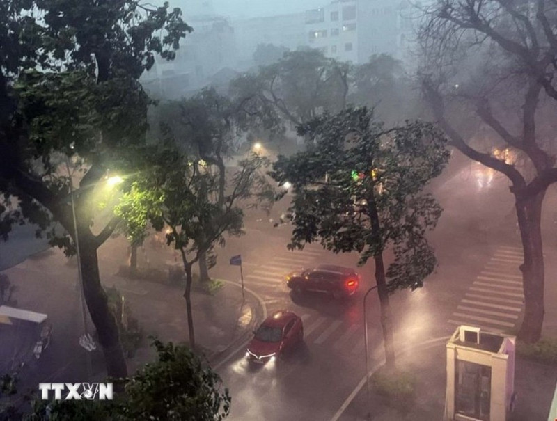 Las fuertes lluvias y tormentas eléctricas causadas por la tormenta n.º 3 provocaron la caída de numerosos árboles en las calles de Hanói. (Foto: VNA)