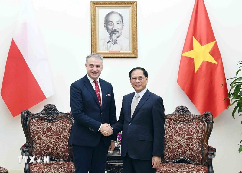 El viceprimer ministro vietnamita Bui Thanh Son, y el viceprimer ministro y ministro de Transformación Digital de Polonia, Krzysztof Gawkowski. (Foto: VNA)