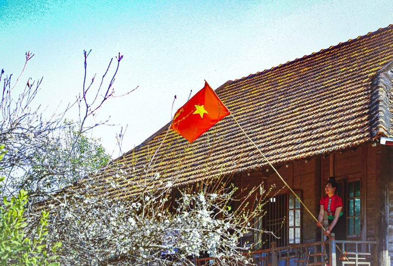 Las plantas de ciruelo florecen junto a las casas construidas sobre pilotes de la etnia Thai (Foto: VNA)