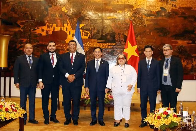 El viceprimer ministro y canciller vietnamita, Bui Thanh Son, en la reunión con el ministro de Relaciones Exteriores de Nicaragua, Vandrack Jaenschke. (Foto: VNA)