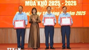 Gia Lai inicia búsqueda y repatriación de restos de mártires caídos en Camboya. (Foto: VNA)