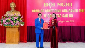 Vo Trong Hai elegido presidente del Comité Popular de la provincia de Nghe An. (Foto: VNA)