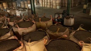 El café vietnamita todavía tiene muchas oportunidades de exportarse al mercado tailandés.