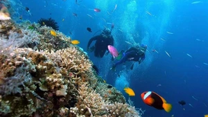 Nha Trang se encuentra entre los principales destinos de 'turismo lento' en Asia. (Foto: Nhan Dan)