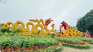 [Foto] Singular calle floral en Ciudadela Imperial de Thang Long en ocasión del Tet