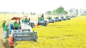 Foto de ilustración (Fuente: Nhan Dan)