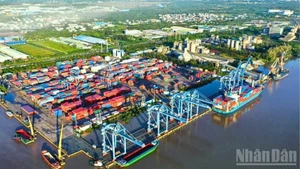 Empresas e industrias vietnamitas enfrentan disrupciones en el transporte marítimo por conflicto en Oriente Medio