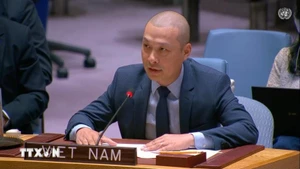El ministro consejero Nguyen Hoang Nguyen, representante permanente adjunto de Vietnam ante la ONU. (Foto: VNA)