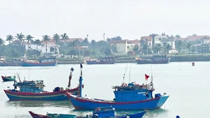 Foto ilustrada (Fuente: VGP)