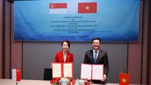 El ministro vietnamita de Industria y Comercio, Nguyen Hong Dien, y la ministra singapurense de Sostenibilidad y Medio Ambiente y encargada de las Relaciones Comerciales, Grace Fu, en la ceremonia de firma. (Fuente: VNA)
