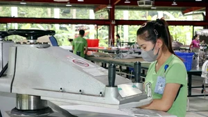 Foto ilustrada (Fuente: VNA)