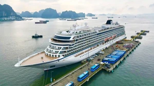 Animada temporada de turismo de cruceros en Quang Ninh