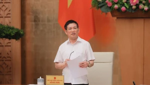 El viceprimer ministro de Vietnam Ho Duc Phoc habla en la reunión. (Foto: VGP)
