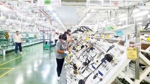 Foto de ilustración (Fuente: Nhan Dan)