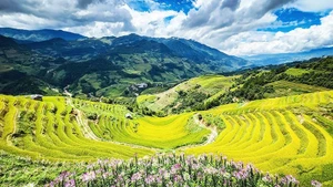 [Vídeo] Turismo de Vietnam despega en la temporada dorada de fin de año