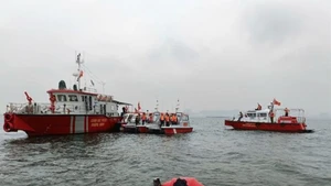 Las fuerzas funcionales buscan a las víctimas. (Foto: VNA)