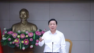 El viceprimer ministro vietnamita Tran Hong Ha preside la reunión (Foto: baochinhphu.vn)