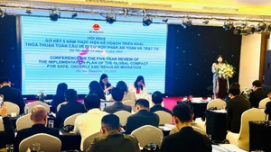 Vietnam evalúa implementación de pacto global sobre migración legal. (Foto: VNA)