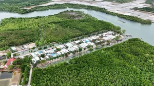 Zona residencial concentrada en medio del ecosistema de manglares de la isla de Thieng Lieng. (Foto: VNA)