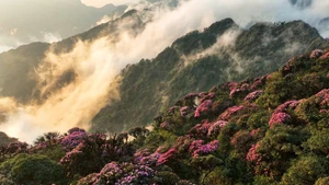 Bellaza paisaje en Lai Chau (Foto: Pu Lai Chau)
