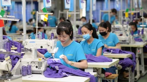 Proponen creación de Centro Nacional de Materias Primas para la industria de la moda vietnamita