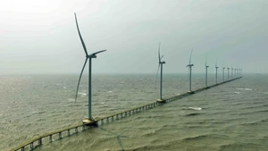 Planta de energía eólica en la ciudad de Duyen Hai, provincia de Vinh Long (antes Tra Vinh). (Foto: VNA)