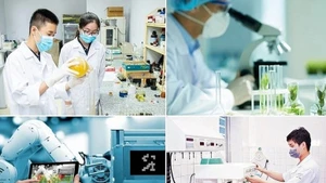 Foto: baochinhphu.vn