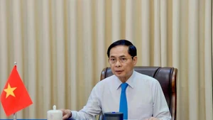El viceprimer ministro y canciller de Vietnam, Bui Thanh Son (Foto: VNA)