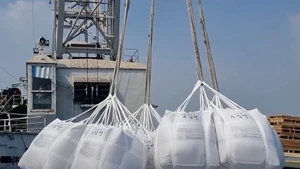 Carga de arroz de exportación a bordo de un barco en un puerto marítimo de Ciudad Ho Chi Minh. (Foto: nongnghiepmoitruong.vn)