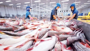 Los productos pesqueros son uno de los principales rubros de exportación de Vietnam hacia Brasil. (Foto: VGP)