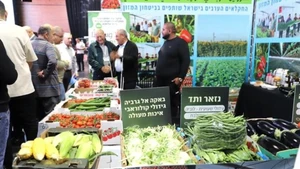 En la cita (Foto: VNA)