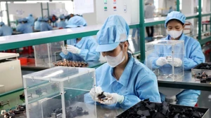 Foto de ilustración. (Fuente: VNA)