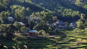 En la comuna de Van Son. (Foto: VNA)