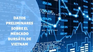 Infografía: Mercado bursátil de Vietnam - 12 de junio de 2025